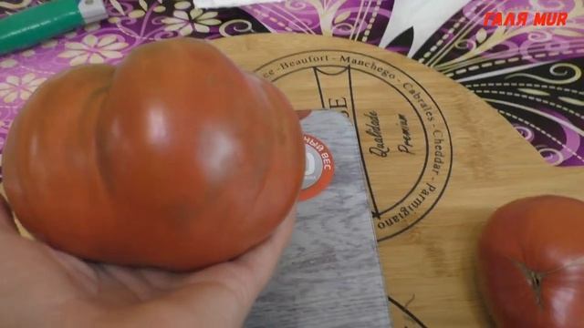 Томаты гиганты Эти томаты буду сажать Серия 2 смотреть онлайн