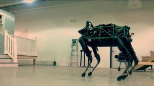 Самые крутые роботы-животные