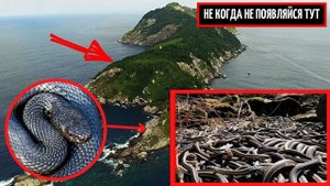 Самое опасное место на планете ! Змеиный остров.