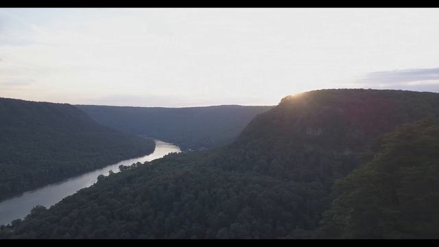 Лучшая музыка для отдыха с лесом: Музыка для медитации, Музыка для сна, Расслабляющая музыка #Short смотреть онлайн