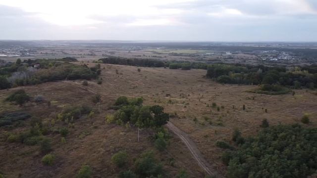 Съемка с дрона поля. Видео квадрокоптера с высоты птичьего полета над лесом смотреть онлайн