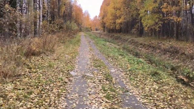 281. Сходила к Падологу, замечательная прогулочка.Уборка/Готовка