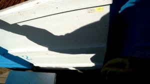 Когда начинать подготавливать пчёл к зимовке.