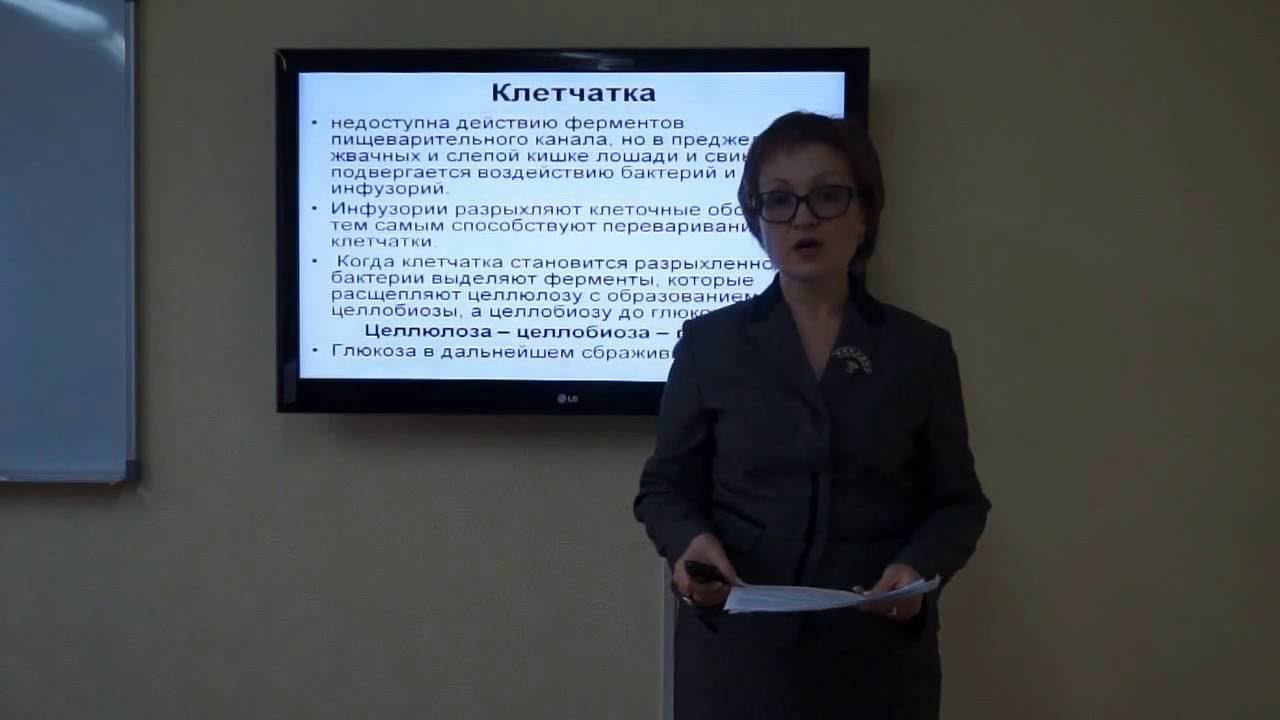 Козина Е.А. Оценка питательности кормов по переваримым питательным веществам