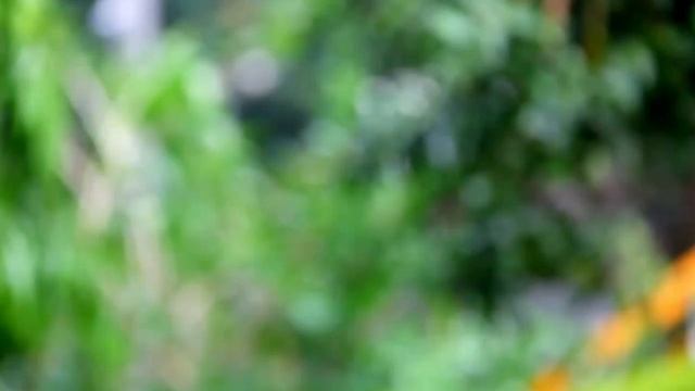 30 plus wallpapers for smart watch dz09,gt08,v8,a1|| Smart watch wallpaper change||| AlirazaTV смотреть онлайн