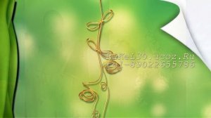 Видео поздравление 45 лет женщине - 45 лет поздравления сестре видео