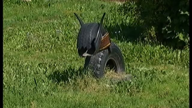 Красота своими руками