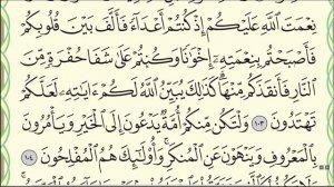 Урок № 21. Красивое чтение суры "Аалю Имран", аяты 92-115. #АрабиЯ #narzullo