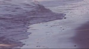 Engelbert Humperdinck - How Do I Stop Loving You