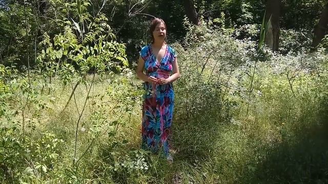 на городі верба рясна смотреть онлайн