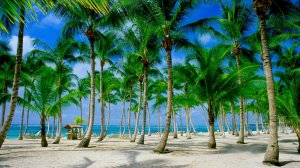 THE MOST CHILLOUT LOUNGE AMBIENT MUSIC - фоновая музыка в стиле эмбиент для расслабления