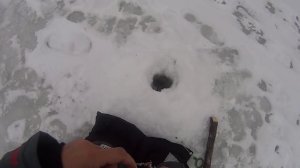 ЛОВЛЯ ОКУНЯ НА МОРМЫШКУ В ГЛУХОЗИМЬЕ