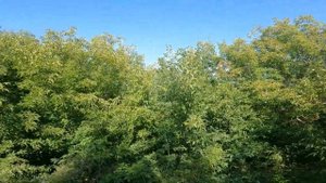 БАРНАУЛ интересные места ГОРОДА