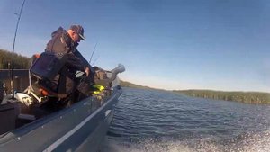 Обь 1 ЗиЧ + Tohatsu MFS 20 C