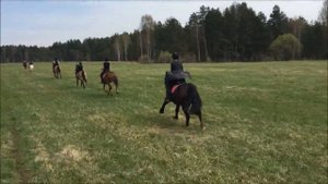 Майская смена 2018 Конный лагерь "КАЗАЧОК"