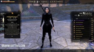 ESO "Yennefer" Magicka DPS Sorcerer Build - EASY Mode (Blackwood)