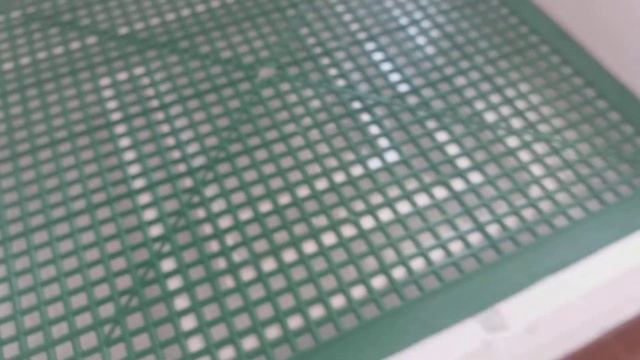 ✔Инкубация яиц//купить инкубационное яйцо кур и уток можно у нас смотреть онлайн