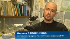 Аральское море спасти можно, но это никому не нужно