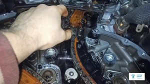 Range Rover Evoque 2.0 Ingenium 204TD посторонний шум двигателя, и как следствие замена цепи ГРМ