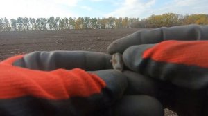 Ищем серебро Петра с XP DEUS