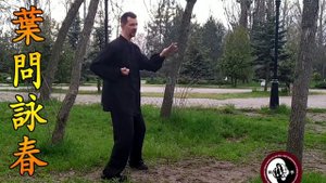 Внутренняя работа в винчунь