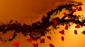 актёр Игорь Шмаков * ПОСЛЕСЛОВИЕ