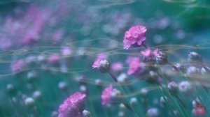 Святый Марк подвижник Наставления о духовной жизни ч.6