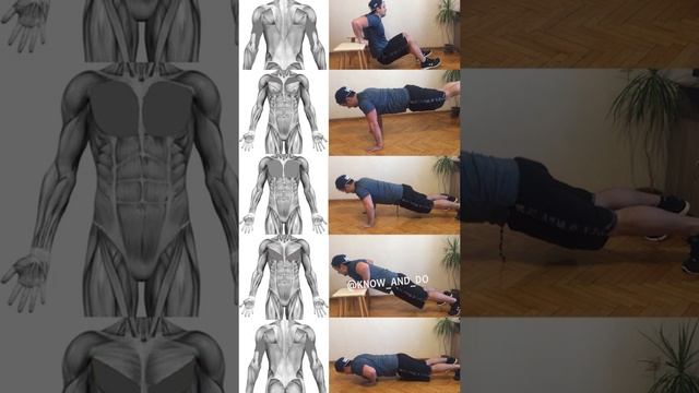 ? Как правильно отжиматься ? Тренировка грудных мышц