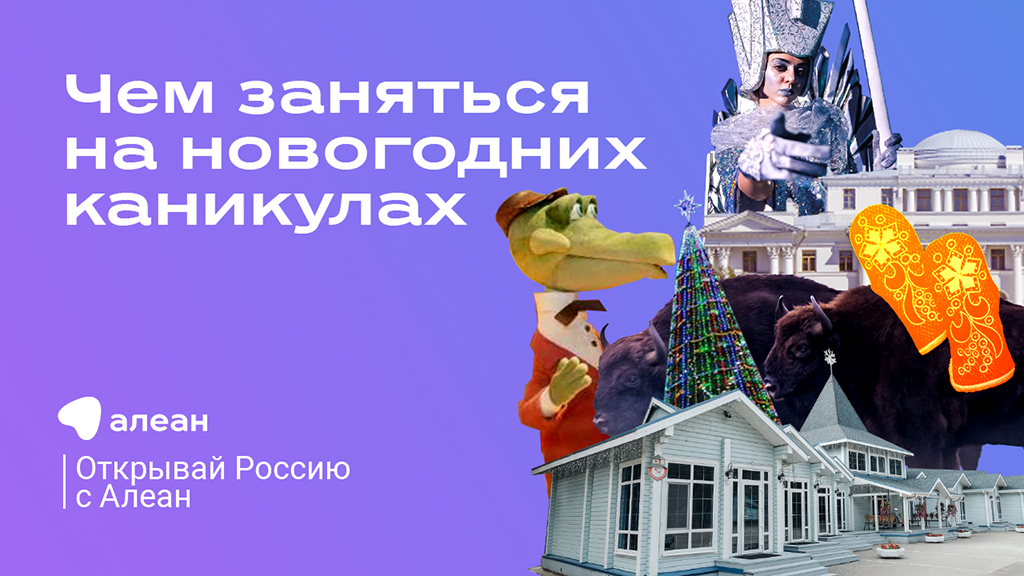 Чем заняться на новогодних каникулах