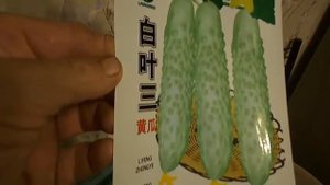 Китайские семена от друга.