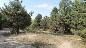 И это ЛУЧШИЙ планшет в 2023 среди защищенных BLACKVIEW ACTIVE 8 PRO Просто ПУШКА!