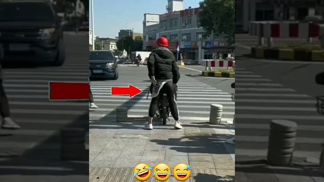 ДомашниеПитомцы и СмешныеВидео