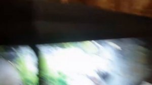 НОВОЕ ОФОРМЛЕНИЕ АКВАРИУМА | 20 ЛИТРОВ