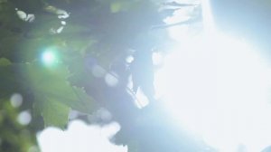 Тета Медитация | ПРИЯТНЫЙ МУЖСКОЙ ГОЛОС | ЛУЧШИЕ МЕДИТАЦИИ И АФФИРМАЦИИ