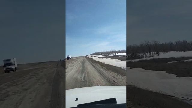 Состояние трассы Костанай-Аркалык | Kostanay-Arkalyk highway #shorts