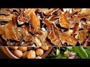 Ореховая Магия!?! Перегородки Грецких Орехов Сделают с Вашим Организмом НЕЧТО?!?