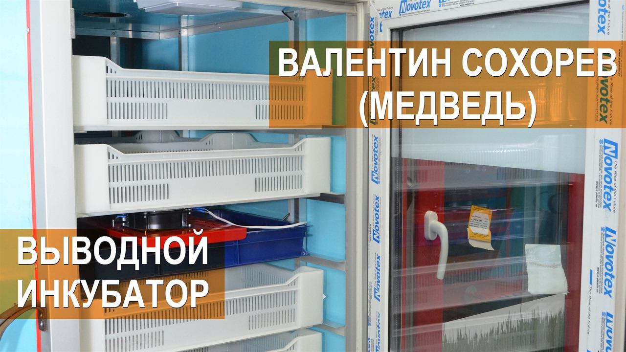 Птицевод Валентин Сохорев. Работа выводного инкубатора MultiLife. Личный опыт