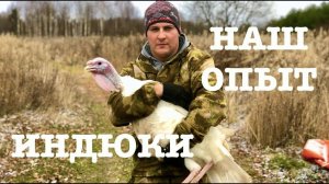 #115. Итоги по разведению индюков. Поставили брагу. [Жизнь на своей земле]