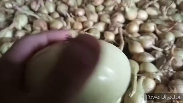 Как хранить лук репчатый в косах смотреть онлайн