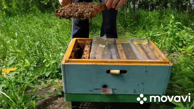 Проверка маток на облётнику смотреть онлайн