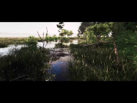 Twinmotion Community Edition 2023.2.Андреевское болото.4к. смотреть онлайн