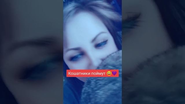 Как можно не любить? ?
⠀
#кошкофил #люблюкошек #кареглазаяблондинка #AlinaKlyukva #юмор #этополюбви