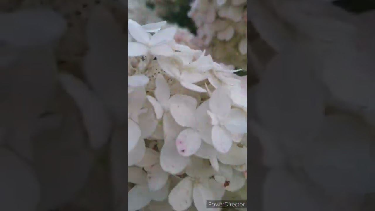 17 августа 2022 на закате дня смотреть онлайн