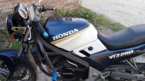 Honda VTZ250