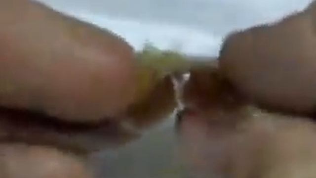 DSCN7766m смотреть онлайн