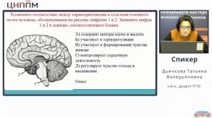 Решение практико-ориентированных заданий по теме: "Нервная система". Дьячкова Т.В.