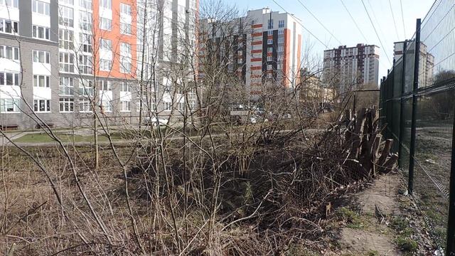 КАЛИНИНГРАД: от пивоварни Понарт – Зимнее озеро, ЦГКБ, Летнее озеро – 31 марта 2022, ЧТ