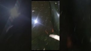 Мои рыбки из икры, выросли!!!