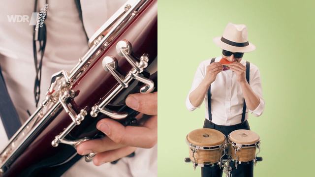 Zequinha de Abreu - Tico Tico | WDR Funkhausorchester смотреть онлайн