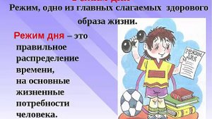 Почему ночной сон, лучше дневного